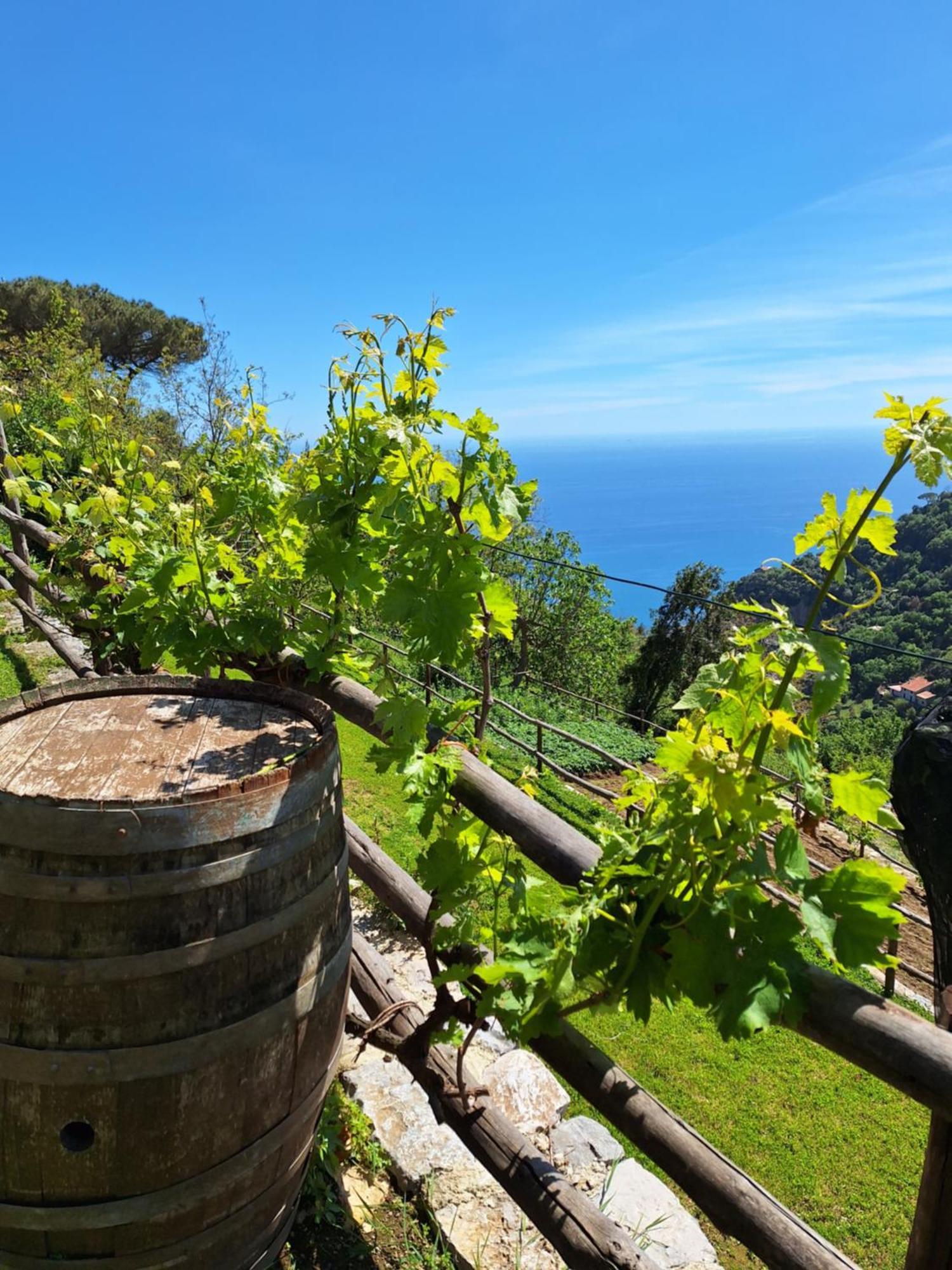 Agriturismo Orrido Di Pino Agerola Extérieur photo