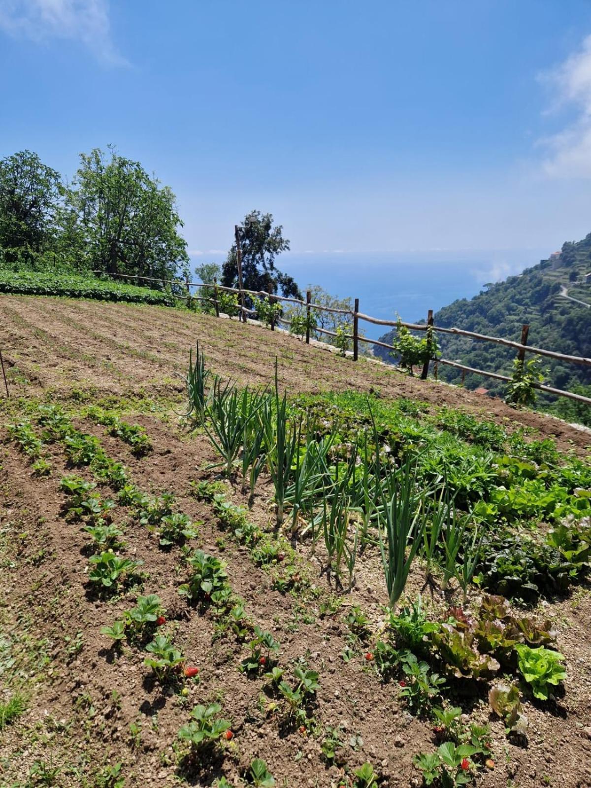Agriturismo Orrido Di Pino Agerola Extérieur photo