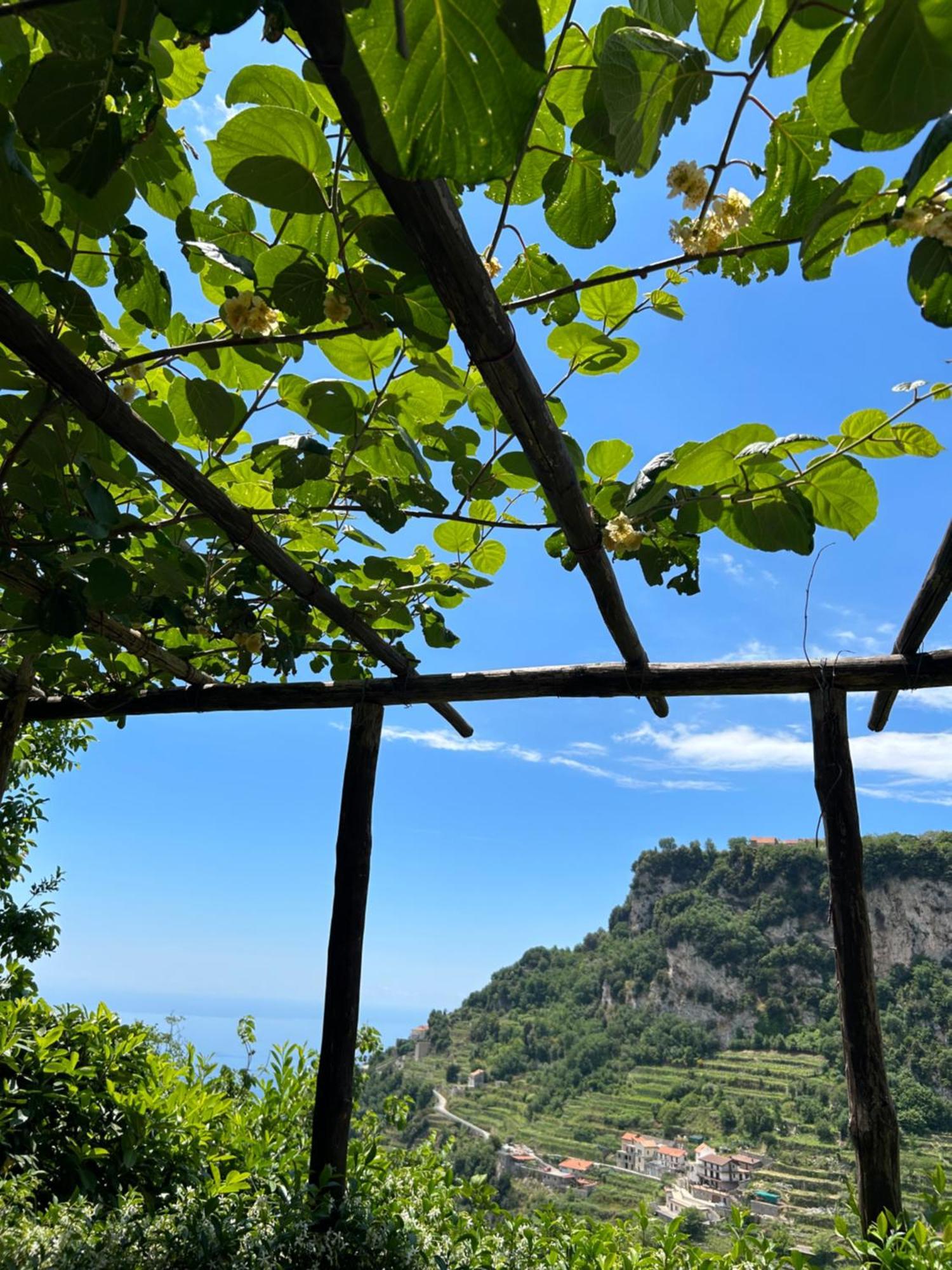 Agriturismo Orrido Di Pino Agerola Extérieur photo