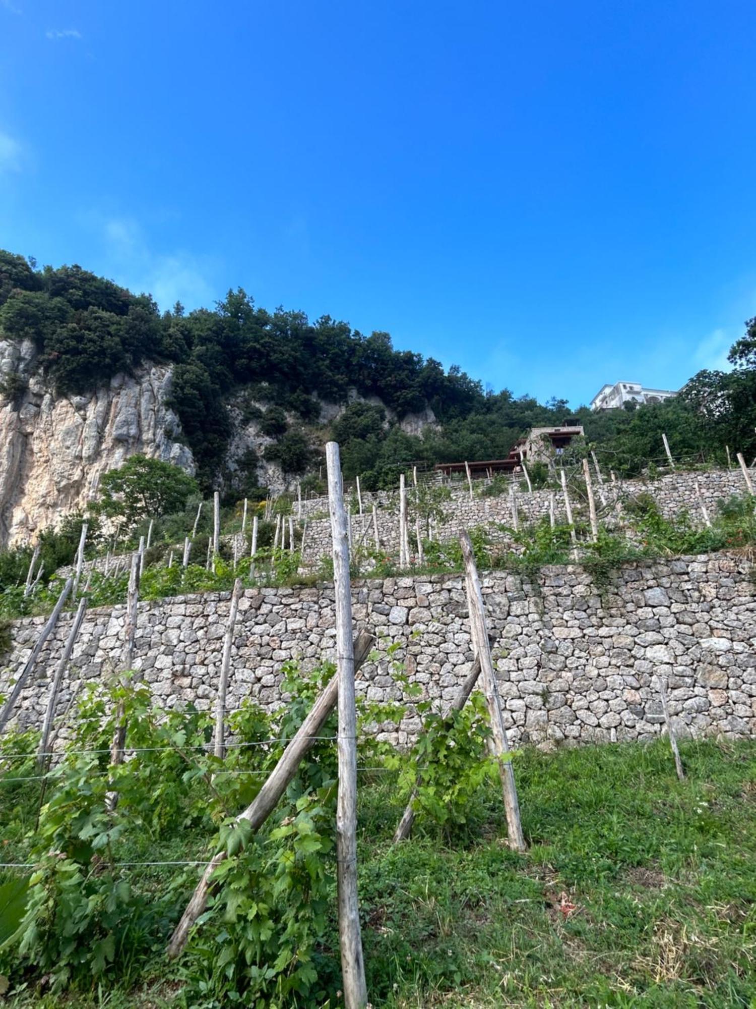 Agriturismo Orrido Di Pino Agerola Extérieur photo