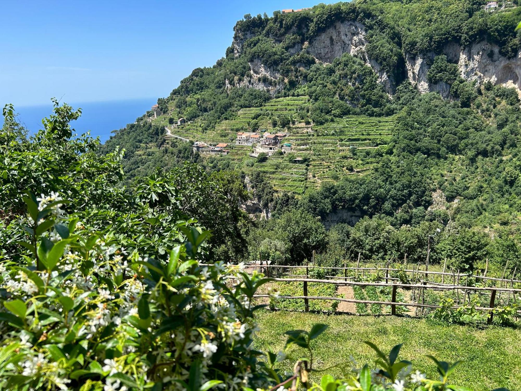 Agriturismo Orrido Di Pino Agerola Extérieur photo