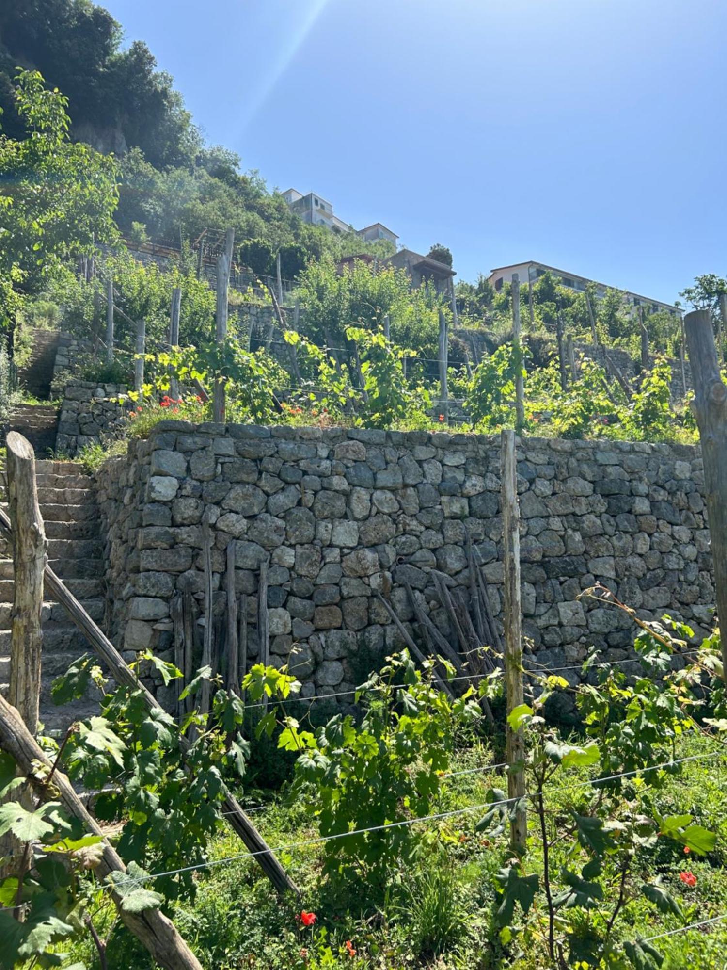 Agriturismo Orrido Di Pino Agerola Extérieur photo